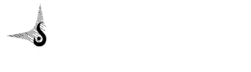 Desiche Konseltants Logo